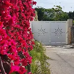 Rosa Dei Venti Frühstückspension 3*