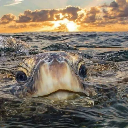 La Rosa Dei Venti Brindisi